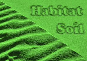 habitat soil green