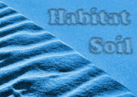 F.A.Q. 24 blue habitat soil