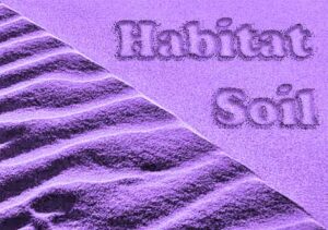 Habitat Soil Purple