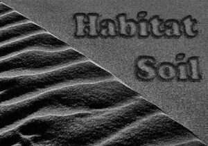 Habitat Soil Black