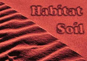 Habitat Soil Red