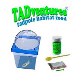 tadventure kit