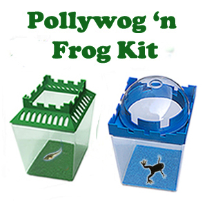 F.A.Q. 21 pollywog n frog kit