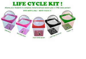 limbs life cycle kit 1