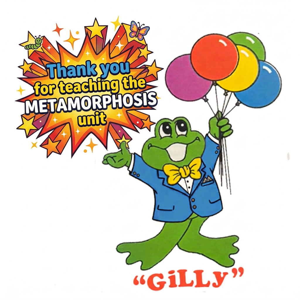 gilly metamorphosis gilly metamorphosis