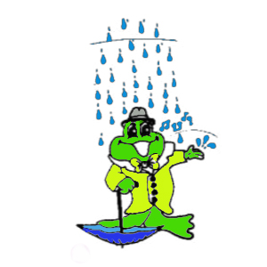 F.A.Q. 15 finging in rain frog