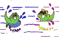 F.A.Q. 12 tad and polly tadpoles